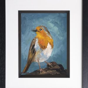 Robin Red Breast