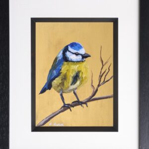 Golden Blue Tit