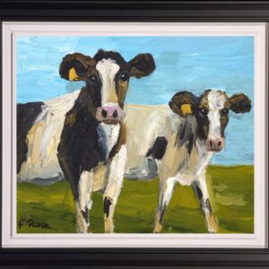 Staring Cows