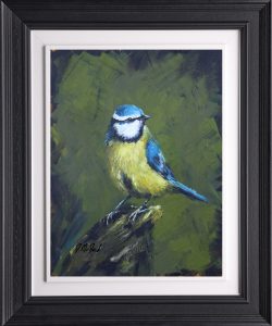 Blue Tit